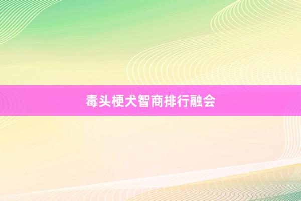 毒头梗犬智商排行融会